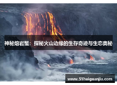 神秘熔岩蟹：探秘火山边缘的生存奇迹与生态奥秘